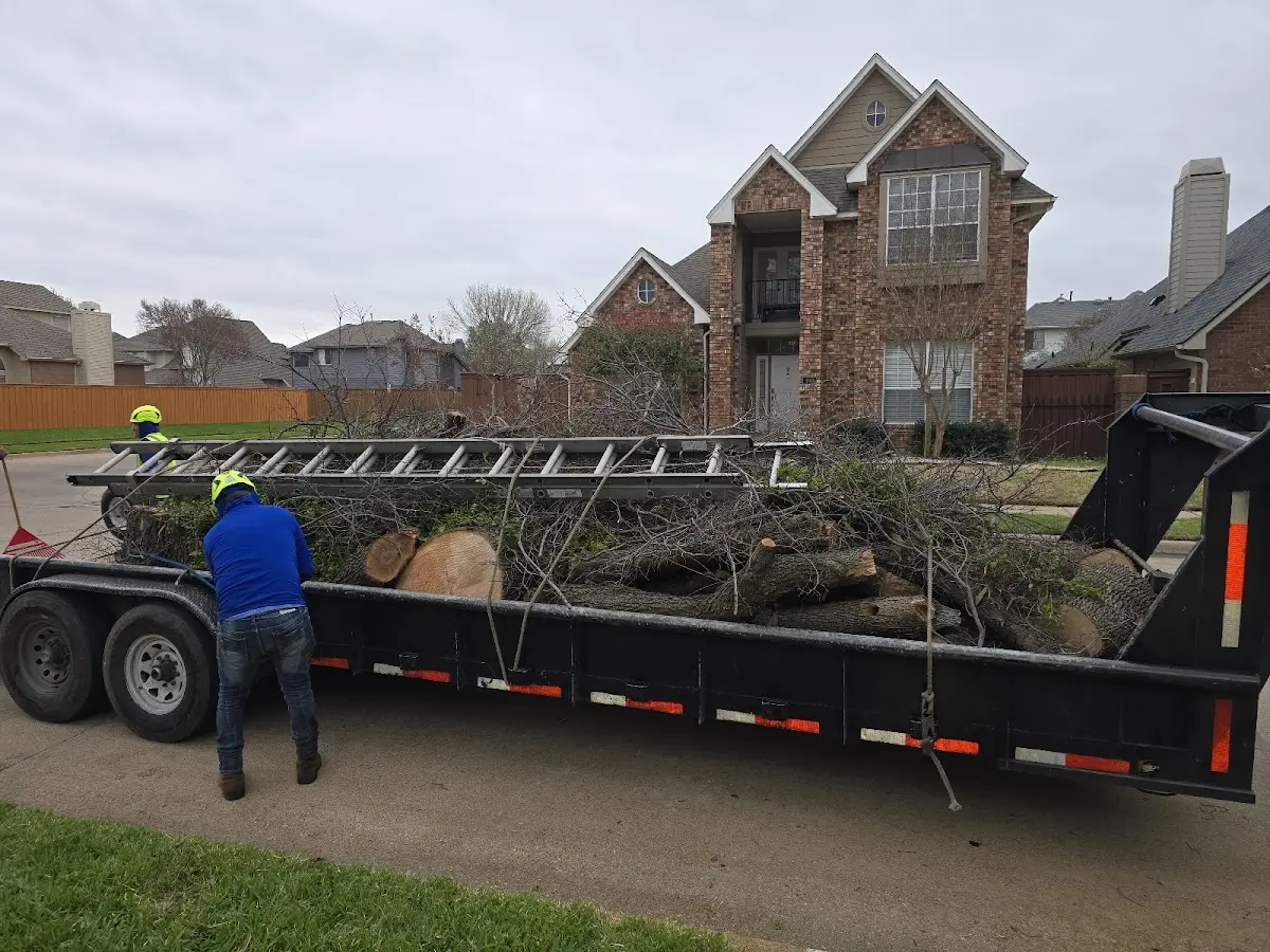 Expert Lot Clearing with proper safety equipment in Congerville